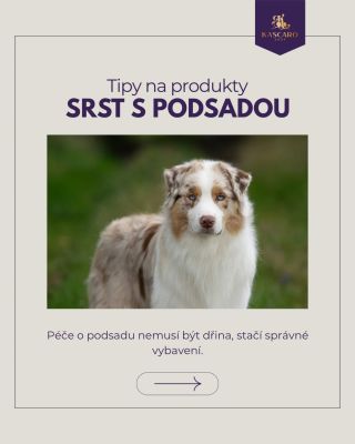 Srst s podsadou může být náročná na údržbu, ale se správnou výbavou je to mnohem jednodušší. 🐾✨ Připravili jsme pro vás...